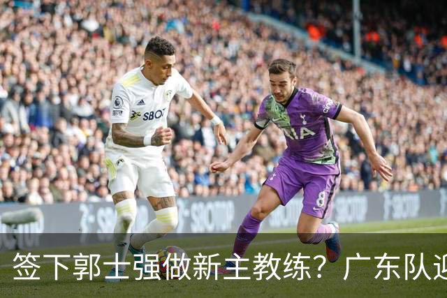 签下郭士强做新主教练？广东队迎来换帅机会，杜锋有望执教国家队